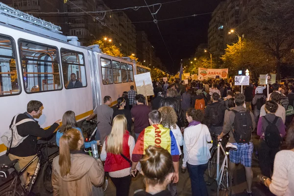 Manifestations contre l'extraction d'or au cyanure à Rosia Montana — Photo