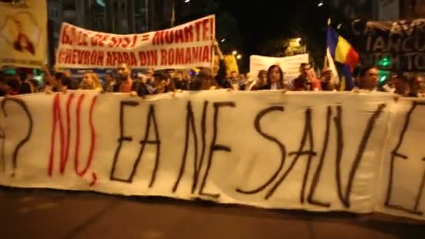 Protester mot cyanid guld utvinning i rosia montana — Stockvideo