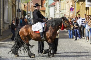 kahverengi dray atlı Süvari