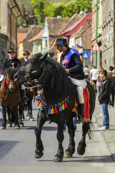 Horseman on black dray-horse — Stock Photo, Image