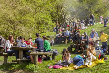 insanlar piknik