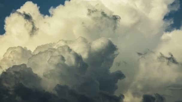 Γκρι cumulus cloudscape — Αρχείο Βίντεο