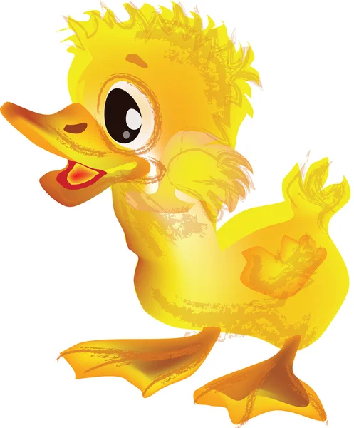 Little Duck — Stock Photo, Image