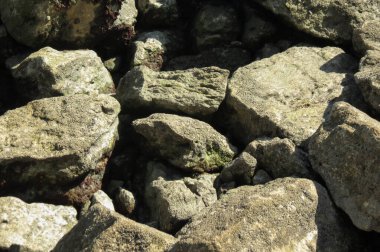 taş ya da kaya yüzeyi arka plan olarak kullanışlıdır