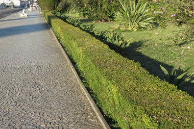 Çitleri olan bir şehir parkı perspektifi