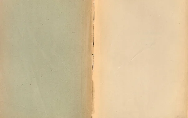 引き裂かれた古い本のページの詳細 — ストック写真