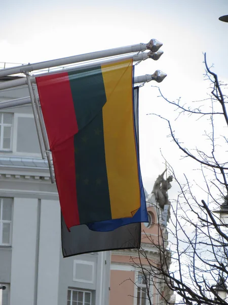 Die Litauische Nationalflagge Litauens Europa — Stockfoto