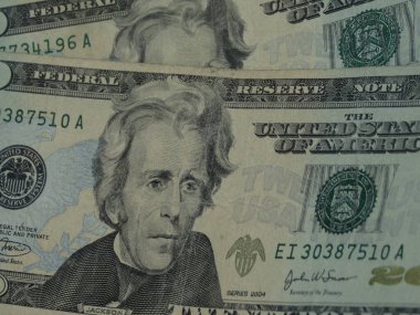 Yirmi dolarlık banknot para kavramı yararlı