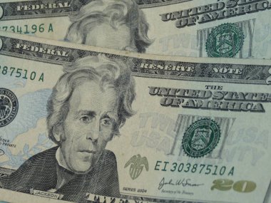 Yirmi dolarlık banknot para kavramı yararlı