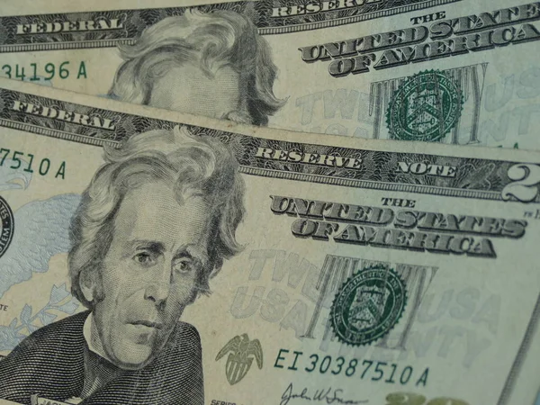 Yirmi dolarlık banknot para kavramı yararlı