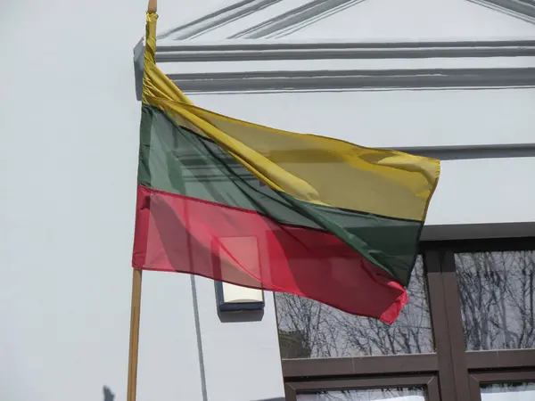 Bandeira Nacional Lituana Lituânia Europa — Fotografia de Stock