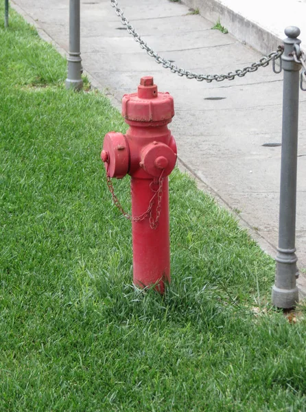 草の上に赤い消火栓があり — ストック写真