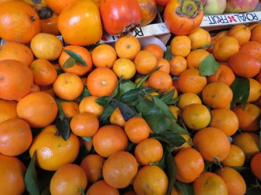 Rome, İtalya - Ekim 2015 yaklaşık: Portakal ve bir Pazar tezgahın üzerinde görüntülenen kaki