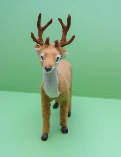 家鹿科动物 哺乳动物类 小型繁殖 可用作圣诞装饰或儿童玩具 — 图库照片
