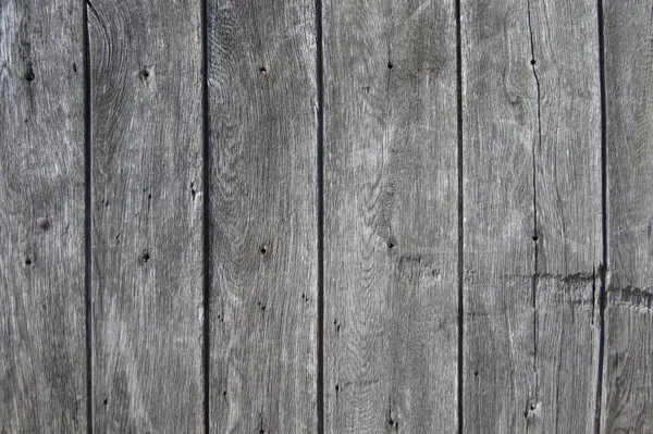 Grey Wood Texture Useful Background — Foto de Stock