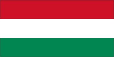 Macaristan bayrağı ve dil simgesi - izole vektör çizim