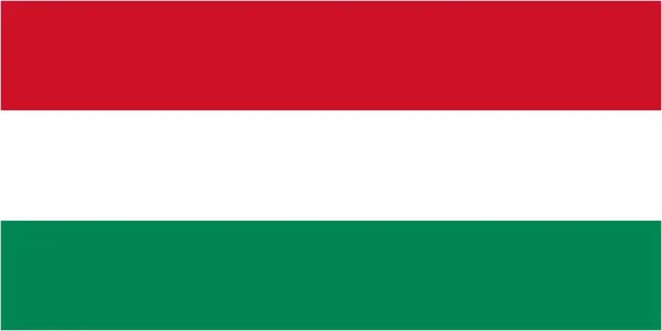 Угорщина Прапор Мова Значок Ізольованих Векторні Ілюстрації — стоковий вектор