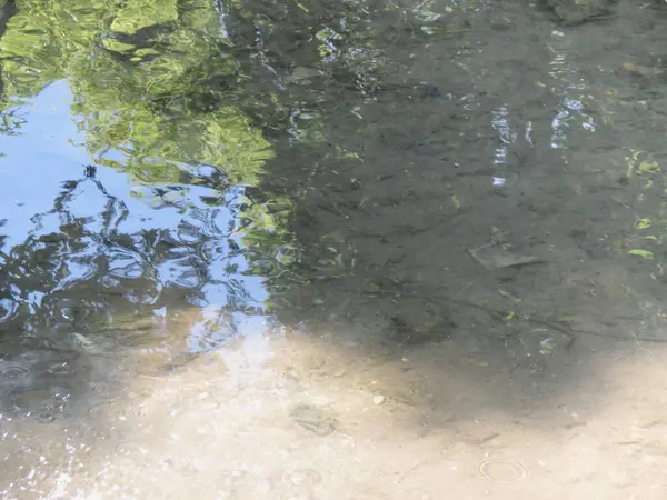 Water Slowly Flowing Small River — Stock Fotó