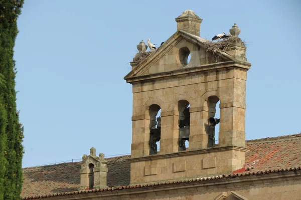 Salamanca Spanya Daki Aziz Stephen Manastırı Cephesinde Yuvalarında Leylekler Vardı — Stok fotoğraf