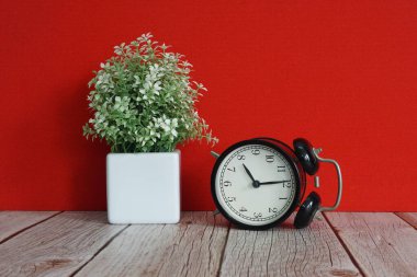 Çalar saat ve saksı çiçeği masanın üstünde.
