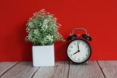 Çalar saat ve saksı çiçeği masanın üstünde.
