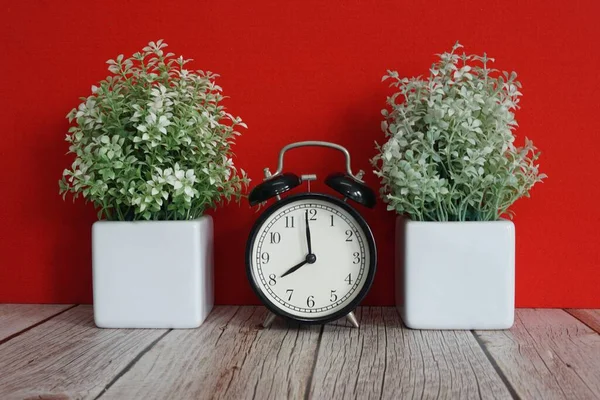 Çalar saat ve saksı çiçeği masanın üstünde.