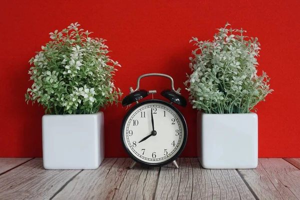 Çalar saat ve saksı çiçeği masanın üstünde.