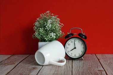 Çalar saat ve saksı çiçeği masanın üstünde.