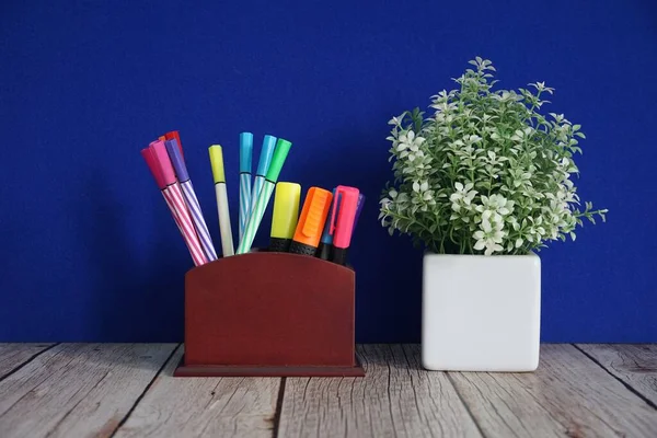 Potted Flower Pens Table — 스톡 사진