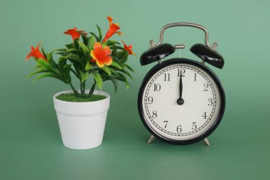 Çalar saati olan saksı çiçeği.