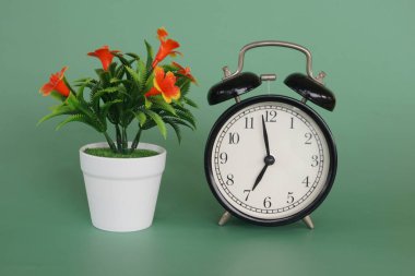 Çalar saati olan saksı çiçeği.