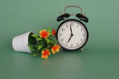 Çalar saati olan saksı çiçeği.