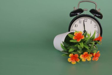 Çalar saati olan saksı çiçeği.