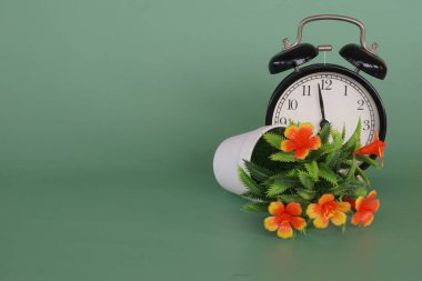 Çalar saati olan saksı çiçeği.