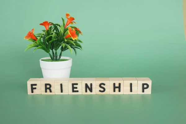 Potted Flower Wooden Cubes Friendship Concept — Stok Foto