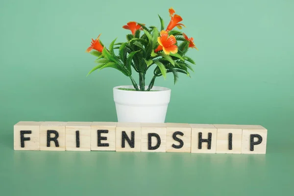 Potted Flower Wooden Cubes Friendship Concept — Photo