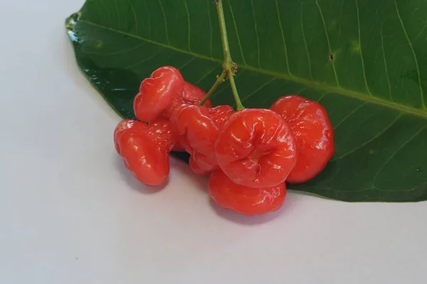 Rote Rosenäpfel Auf Dem Hölzernen Hintergrund — Stockfoto