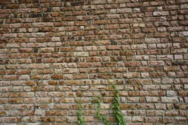 tuğla dokusu yakın çekim