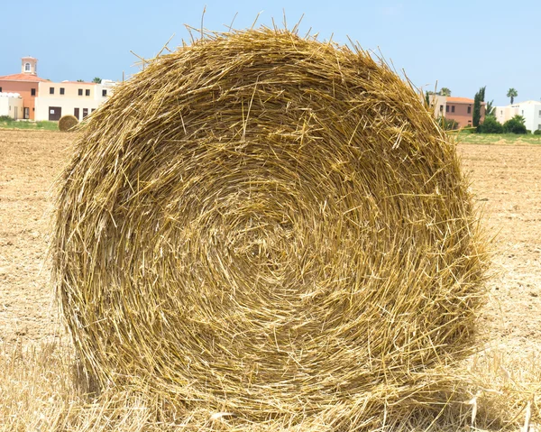 City Hay roll