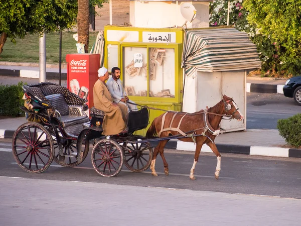 Un Caleche, caballo y carro en Luxor Egipto Imágenes de stock libres de derechos