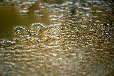 yağmur sonrası bardak su