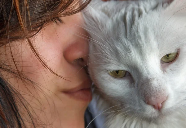 Amor de gato — Foto de Stock