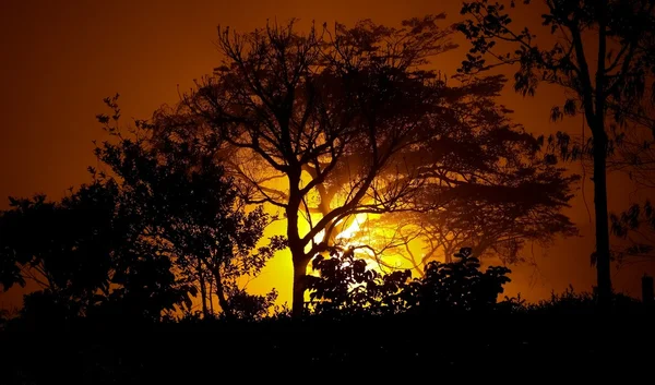 Afrikanischer Sonnenuntergang — Stockfoto