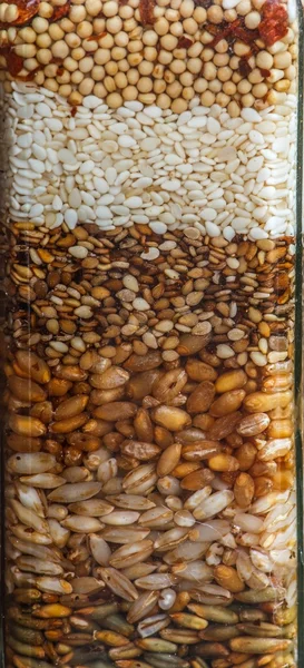 Bottled of Seeds — Stock Photo, Image