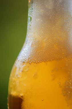 taze soğuk bir bira portre