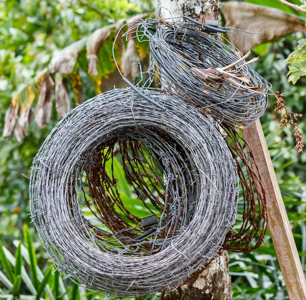 Galvanized Barbed Wire Rolls — Stock Photo, Image