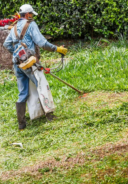 Cortando el césped — Foto de Stock