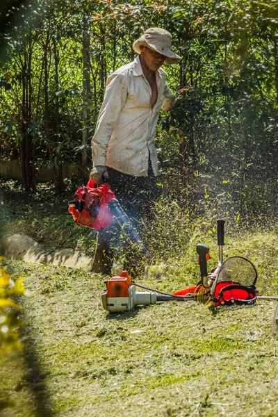 Gräsklippning — Stockfoto