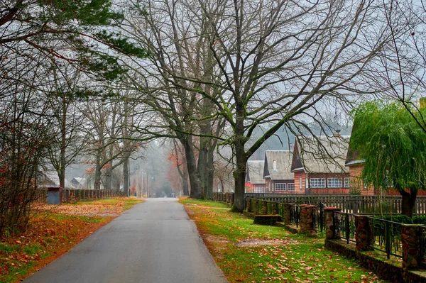 Late autumn in the village. Foggy cloudy day. — Stock Photo, Image
