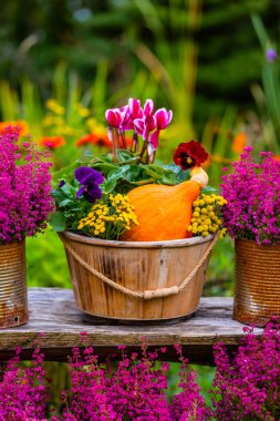 Bahçedeki ahşap bir masada balkabakları ve fundalıklar. Sonbahar dekorasyonu.